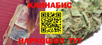 Альфа ПВП Малгобек