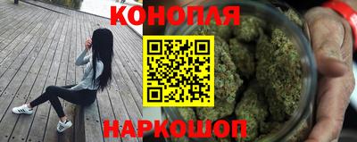 Альфа ПВП Малгобек