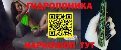 Альфа ПВП Малгобек