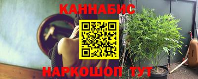 Альфа ПВП Малгобек