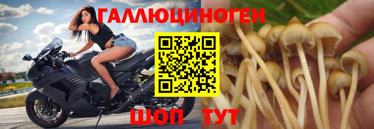Галлюциногенные грибы ЛСД  Вход с VPN  даркнет сайт  Ступино 
